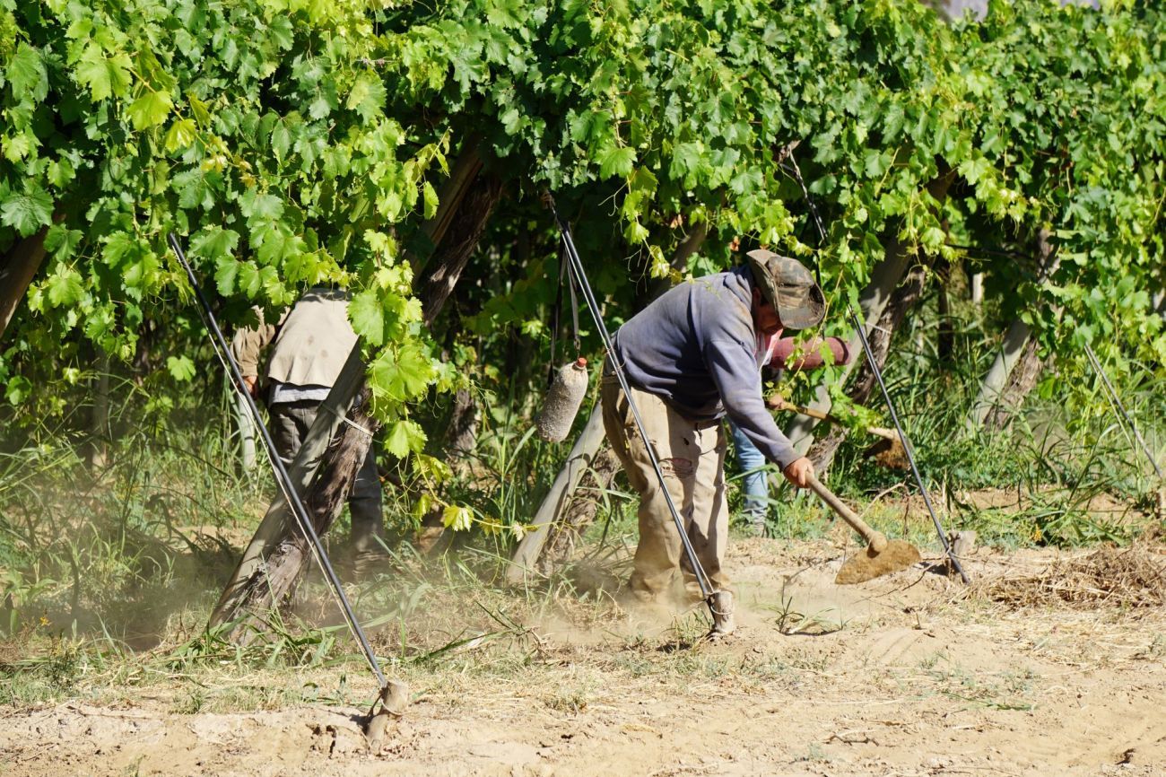 Farmers in Argentina