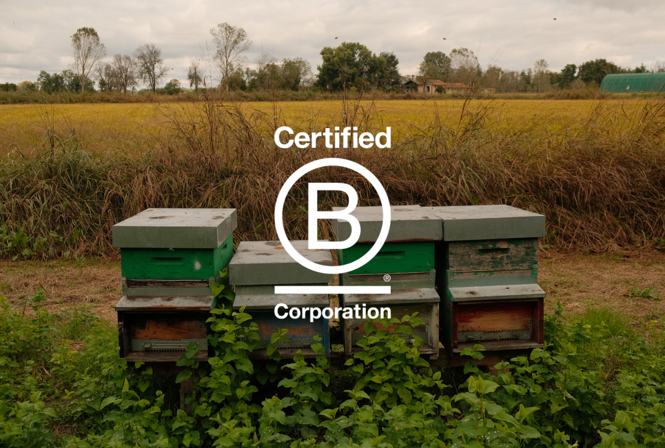 Our B Corp logo with bee hives
