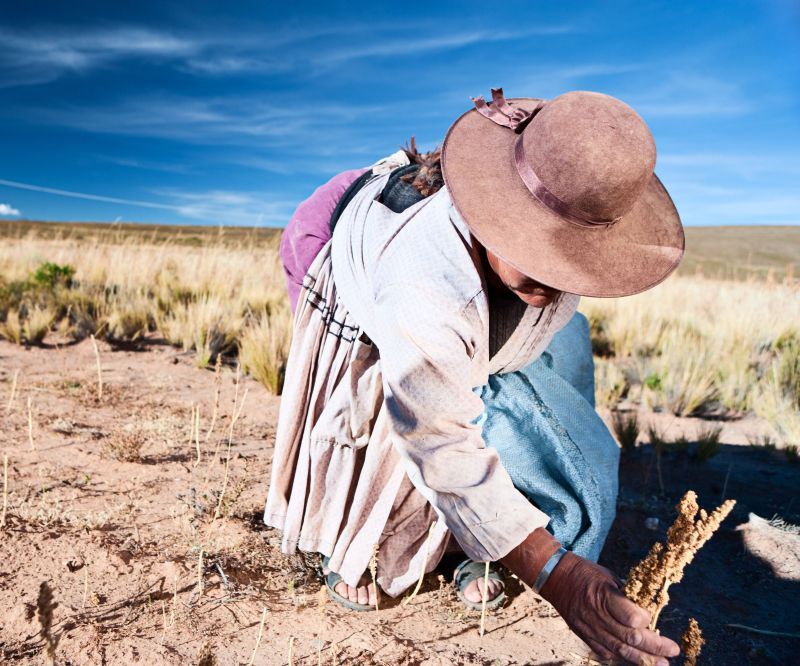 Farmer working in the field