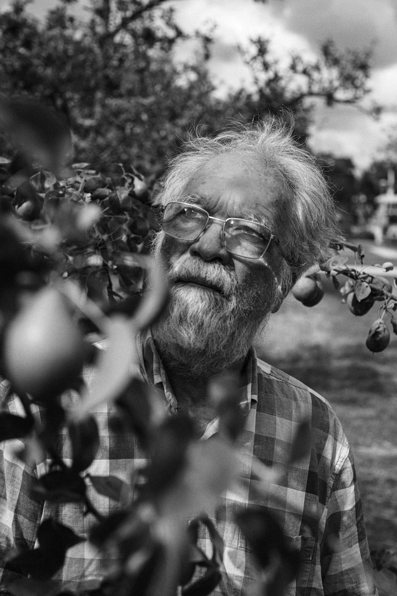 Arie in the apple orchards