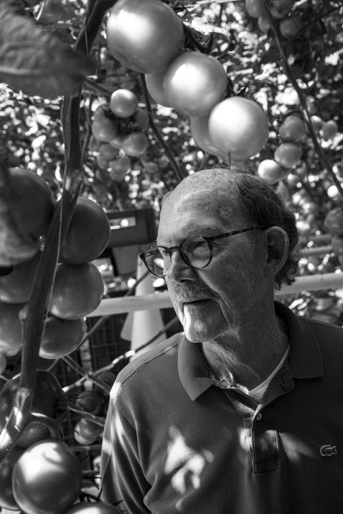 Nico between the tomatoes