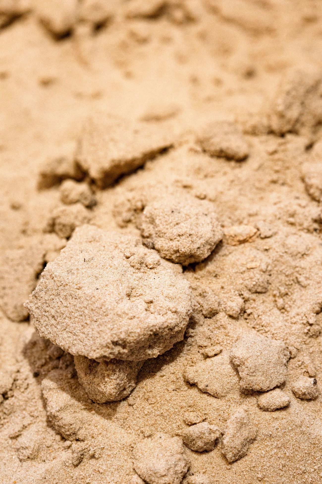 Close-up organic plant-based protein powder