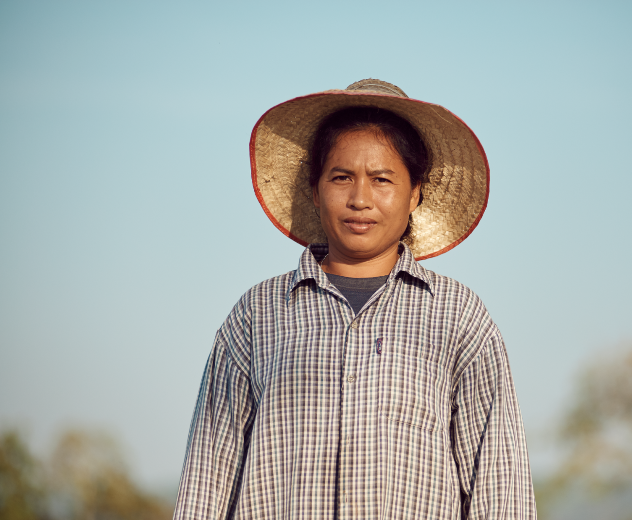 Organic rice from a Thai farmer