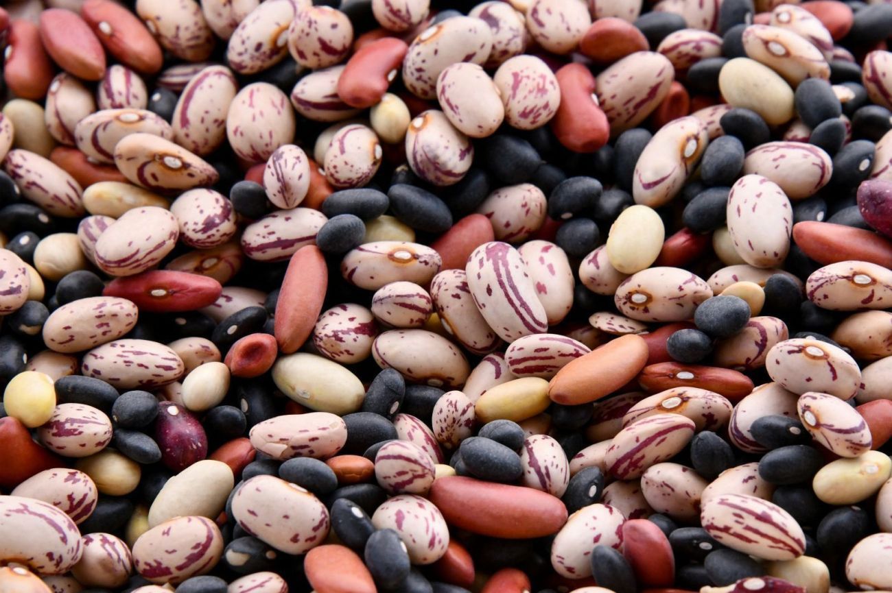 Organic beans and pulses