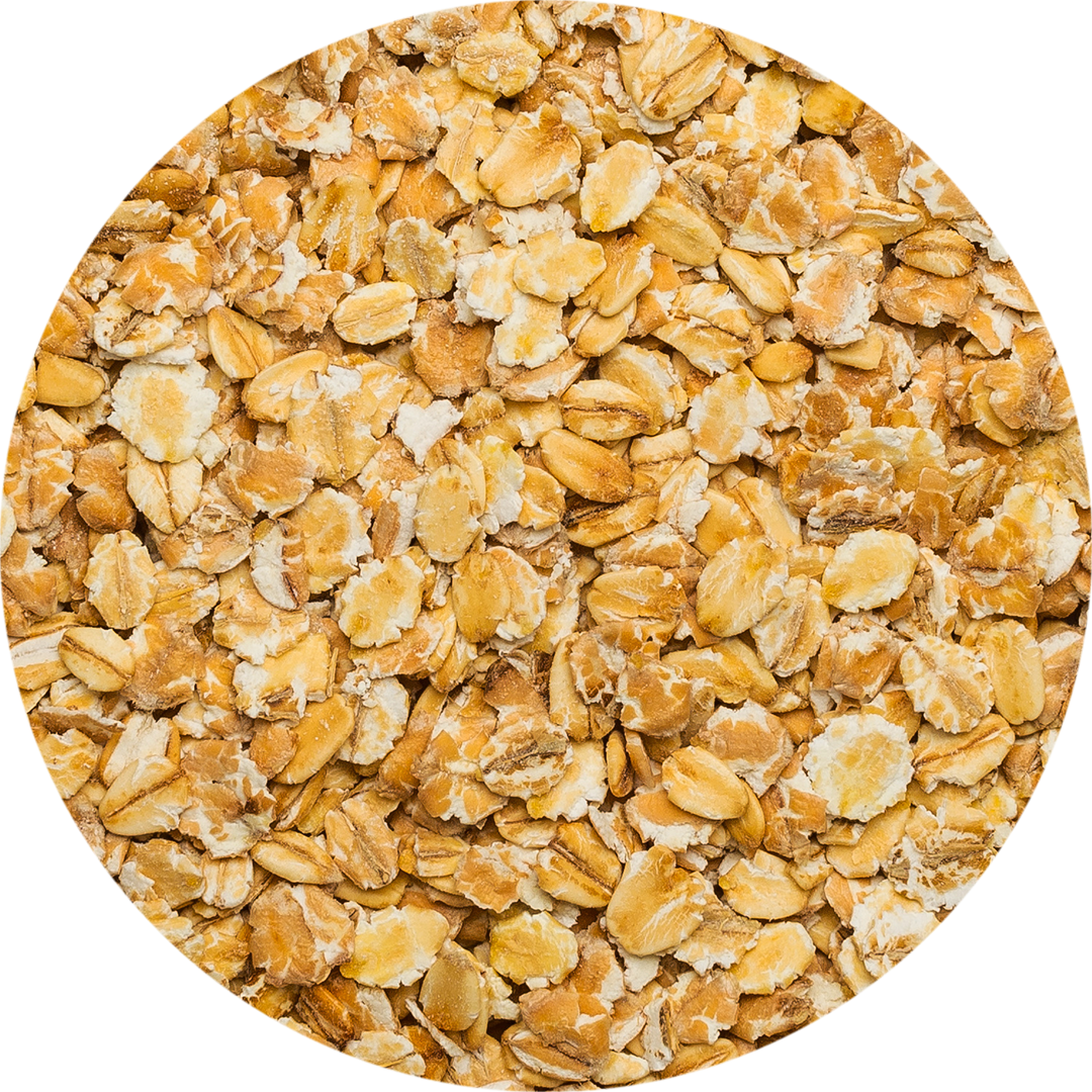 Organic Grains for the Food Industry