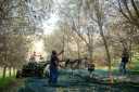 Organic olive farmers in action