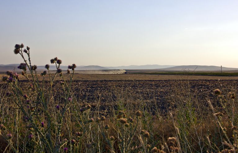 Organic field