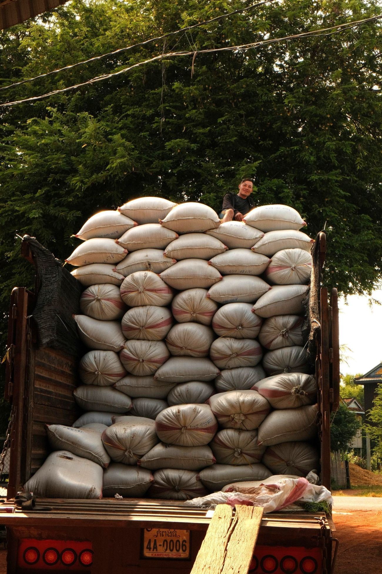 Organic truck full loaded