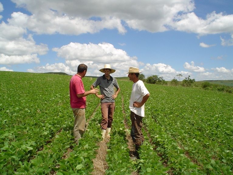 Organic farmers in the field