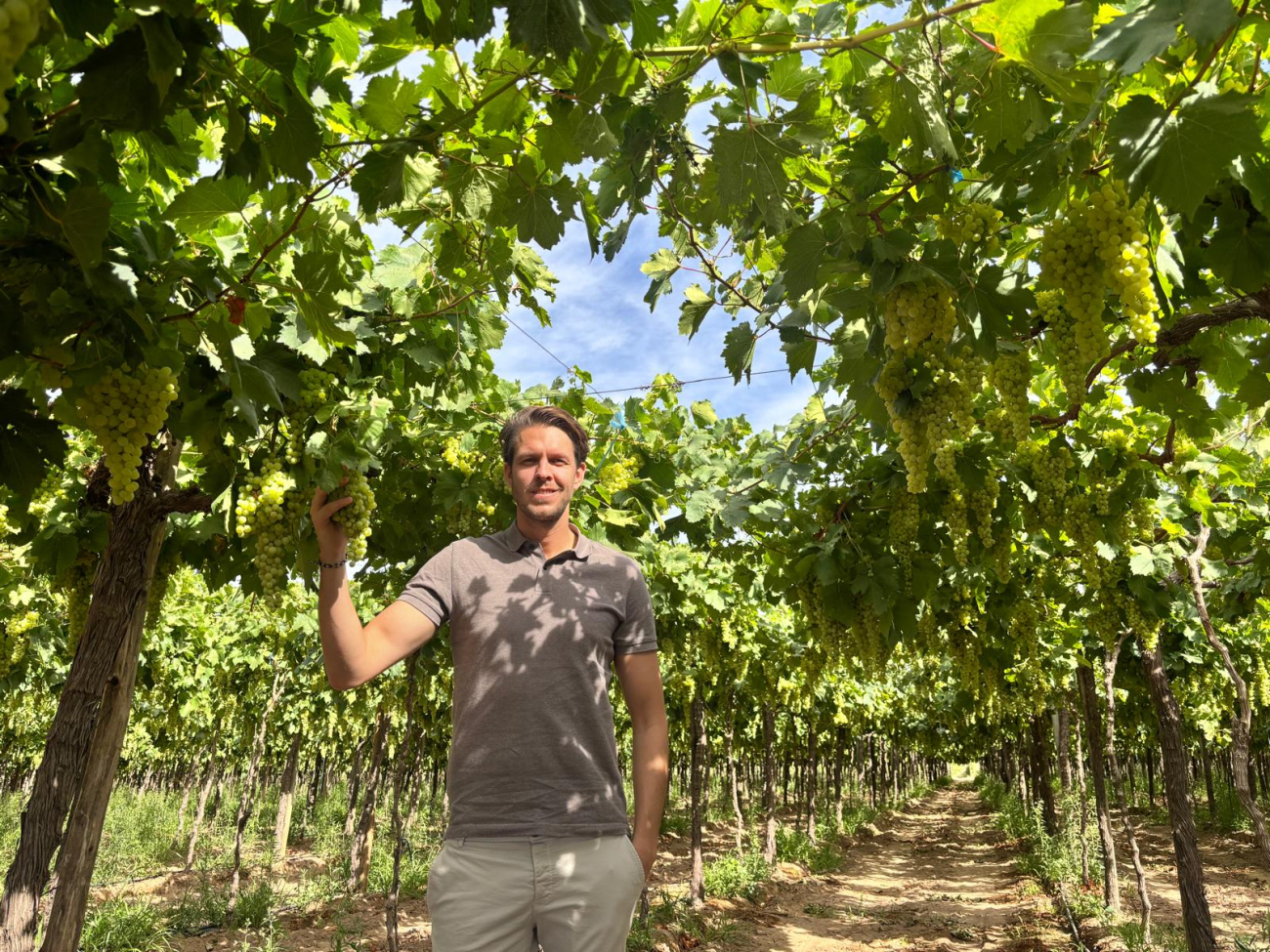 Our colleague in the fields