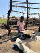 Organic sesame farmer