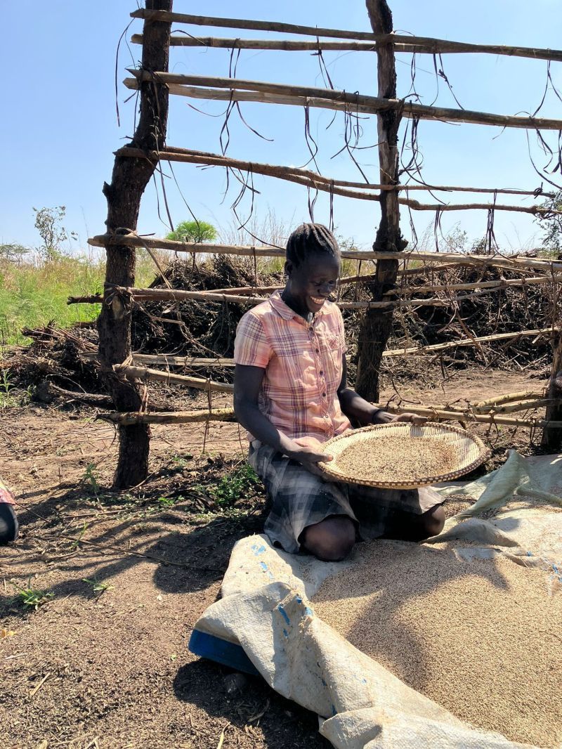 Organic sesame farmer