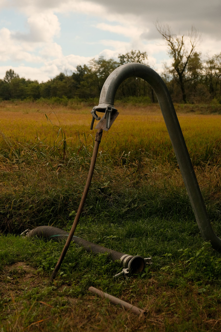 Irrigation system