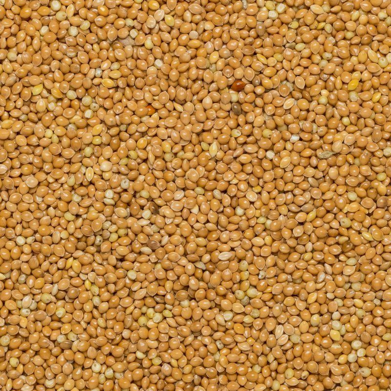 Millet glutinous Huangmi org. 25 kg FT IBD 