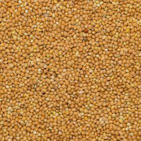 Millet glutinous Huangmi org. 25 kg FT IBD 