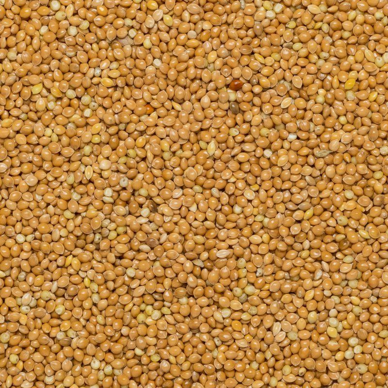 Millet hulled org 25kg