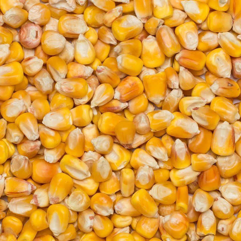 Corn org. 25 kg