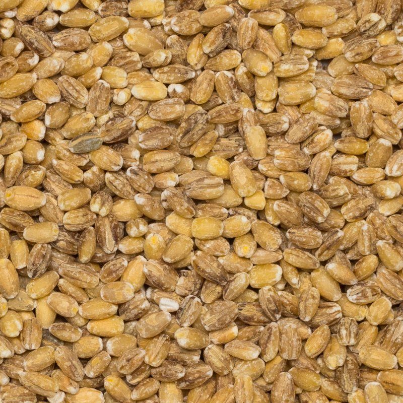 Barley pearled org. 25 kg