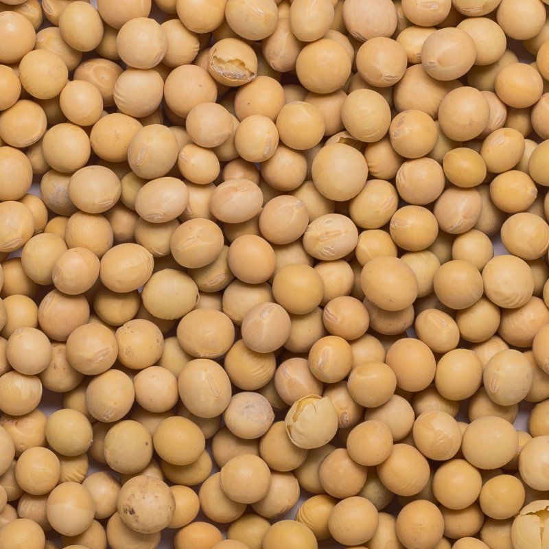 Soya beans org. 5 kg 