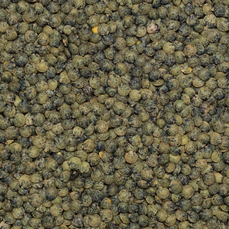 Lentils green French type org. 5 kg