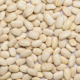 Beans white large org. 25 kg FT IBD