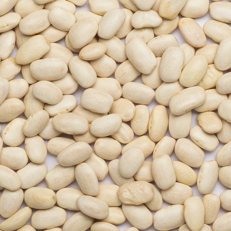 Beans white medium org. 5 kg 