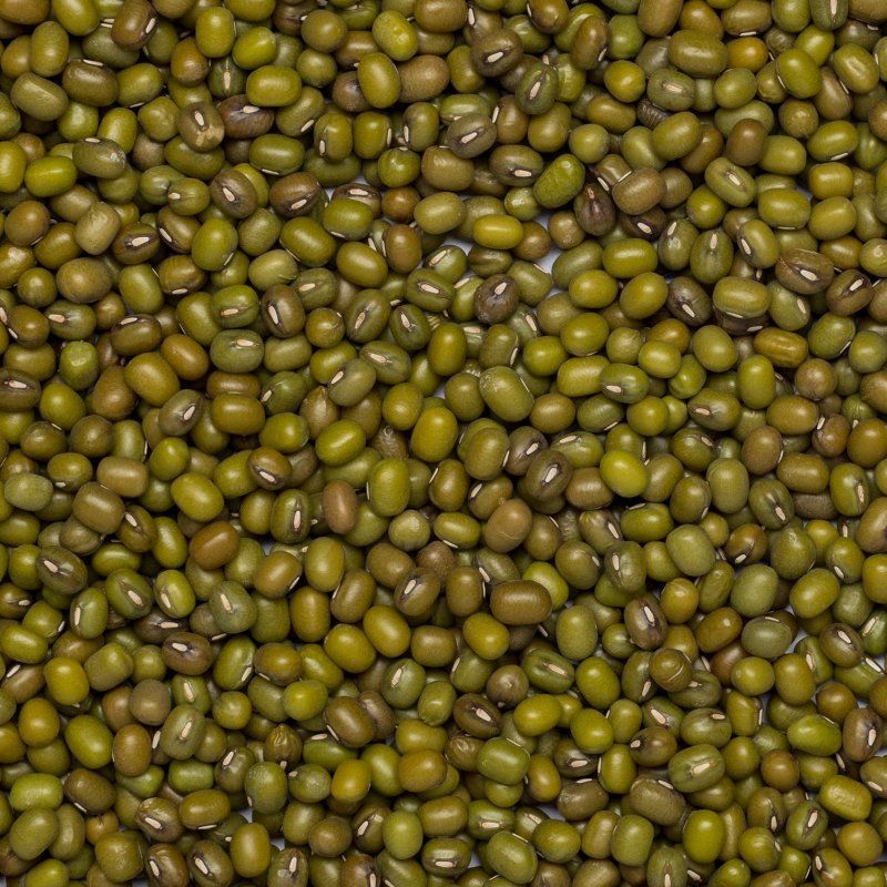 Mungbeans org. 25 kg FT IBD