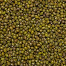 Mungbeans org. 25 kg