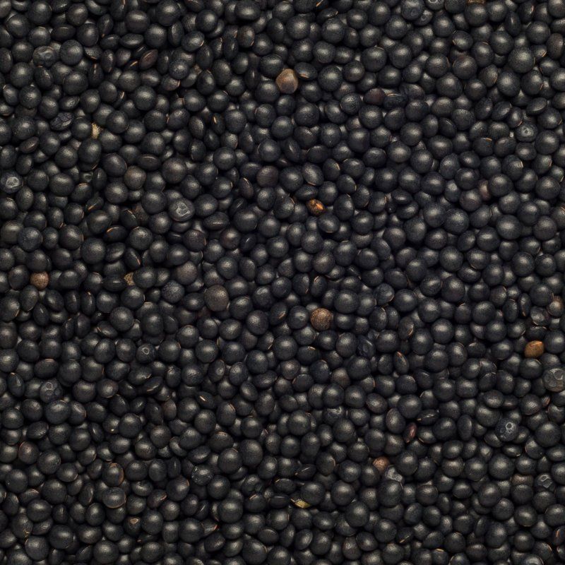 Lentils Beluga black org. 25 kg