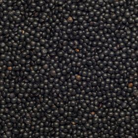 Lentils Beluga black org. 25kg
