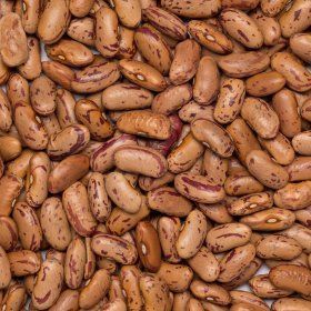 Beans borlotti-pinto org. 25 kg