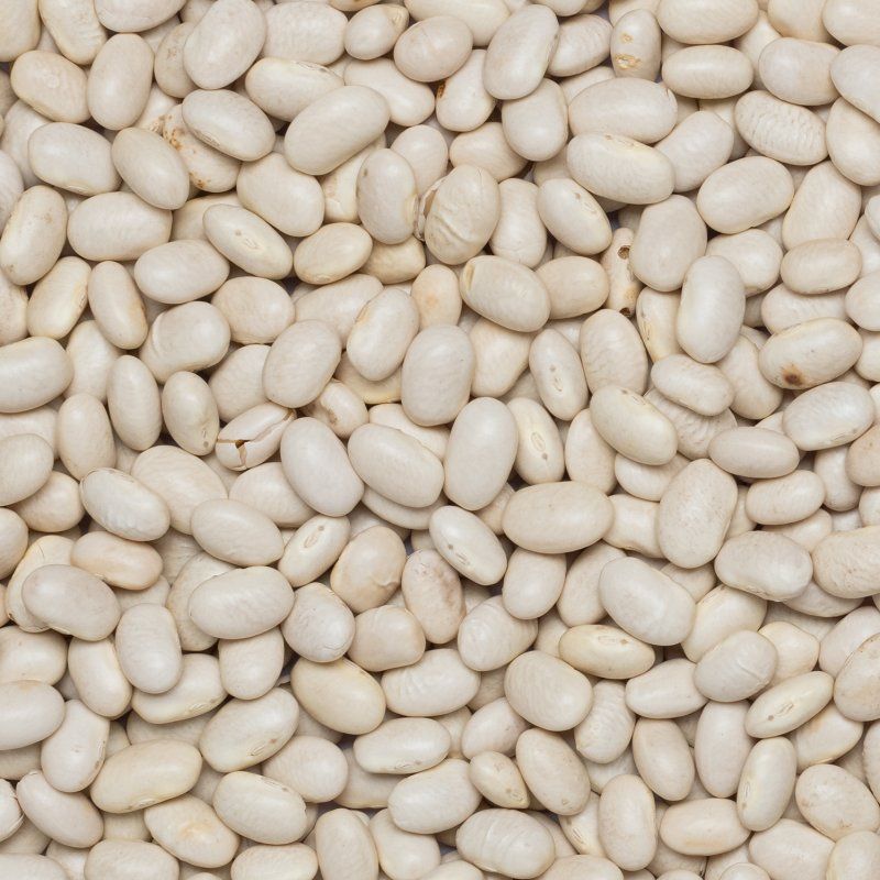 Beans white Navy small org. 25 kg FT IBD