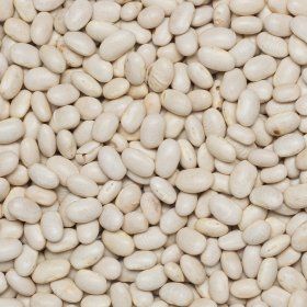 Beans white Navy small org. 25 kg FT IBD