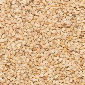 Sesame seeds unhulled org. 25 kg