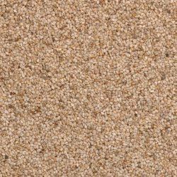 Sesame seeds unhulled org. 25 kg