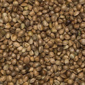 Hempseed unhulled food grade org. 20 kg