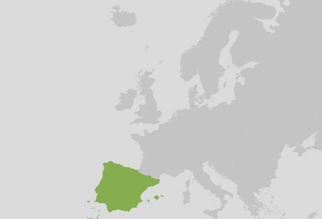 Stagiair(e) Marktonderzoek
