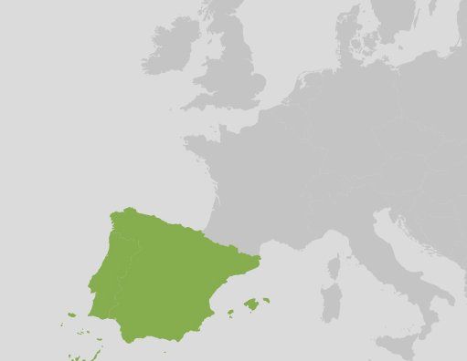 STAGIAIR(E) Marktonderzoek Spanje en Portugal  