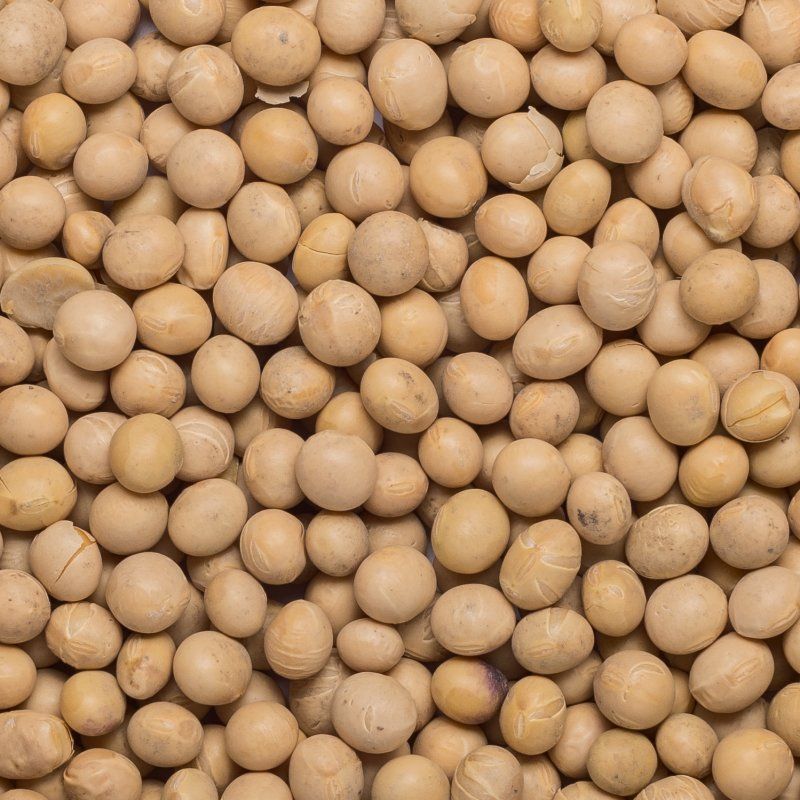 Soya beans org. 25 kg