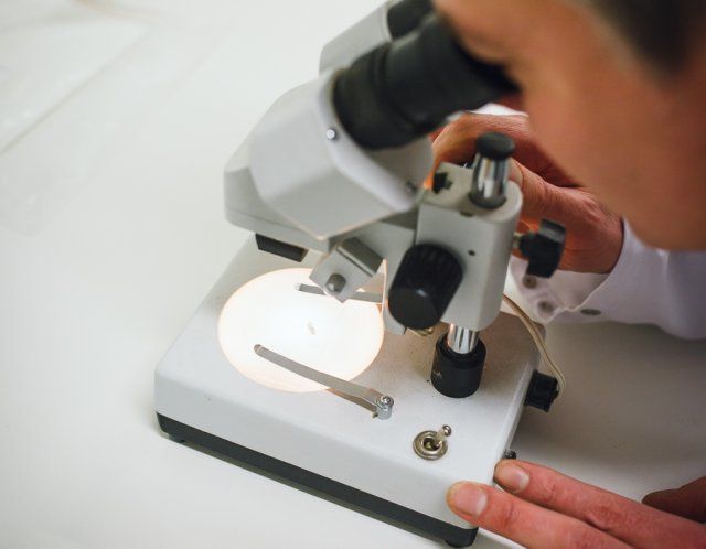 MEEWERK STAGIAIR(E) QA/QC - HBO