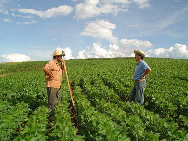 Soy from Brazil