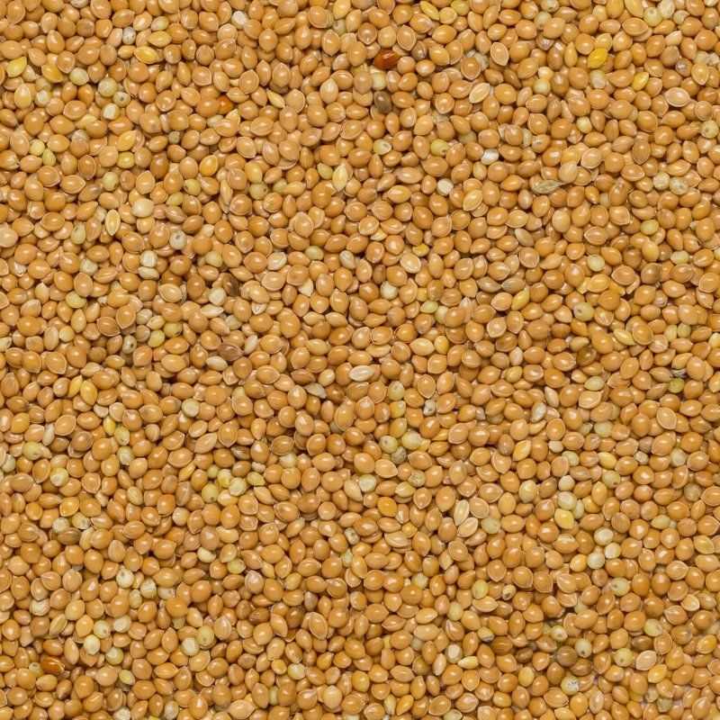 Millet Mizi type Org. 25kg FT IBD