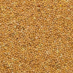 Millet Mizi type Org. 25kg FT IBD