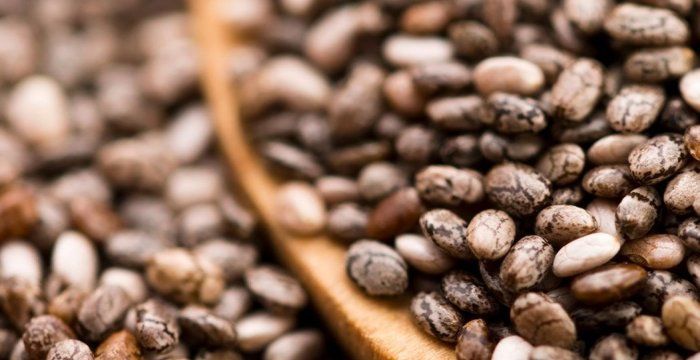 Natural Organic Wholesale Seeds
