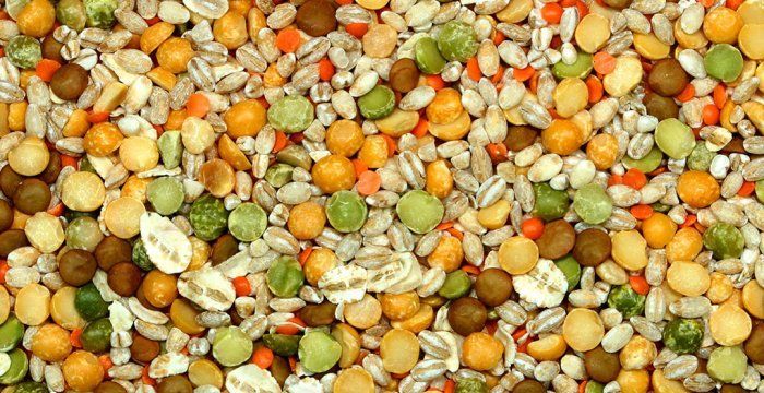 Natural Organic Wholesale Pulses